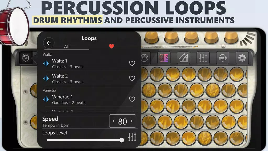 Accordion Chromatic Master Screenshot 3