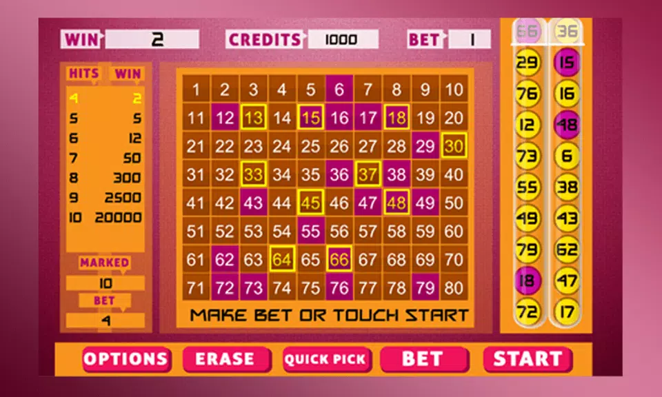 Keno Bingo Capture d'écran 2