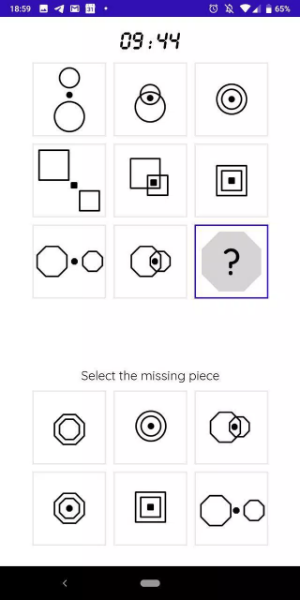 iQT: Raven IQ Test Screenshot 2