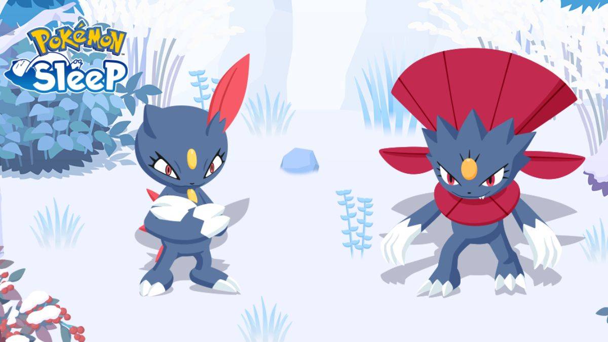 Cómo conseguir a Sneasel y Weavile en Pokémon Sleep