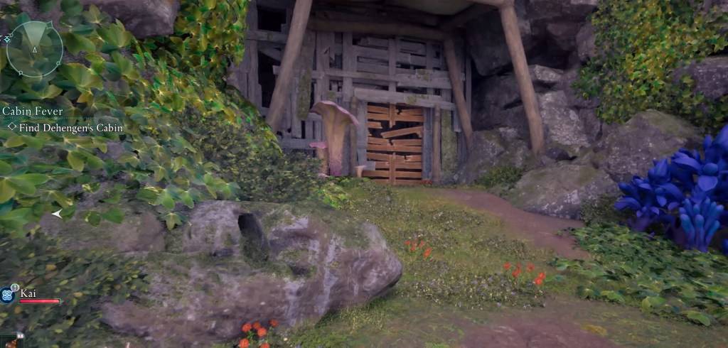 A screenshot showing a boarded-up area in Avowed.