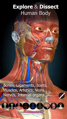 Anatomy Learning - 3D Anatomy ဖန်သားပြင်ဓာတ်ပုံ 1