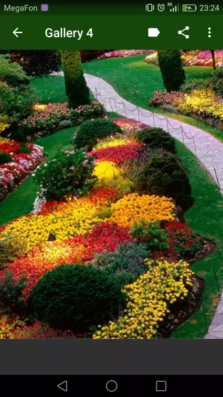 Landscaping Design应用截图第4张