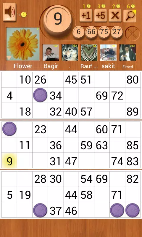 Loto Online Tangkapan skrin 1
