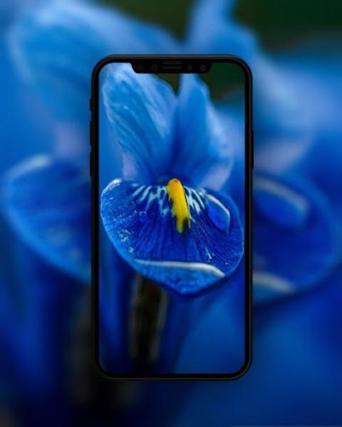 Blue Wallpapers HD ภาพหน้าจอ 4