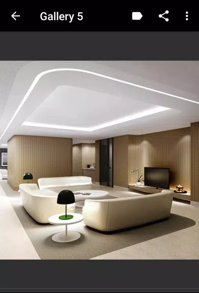 Ceiling Design應用截圖第3張