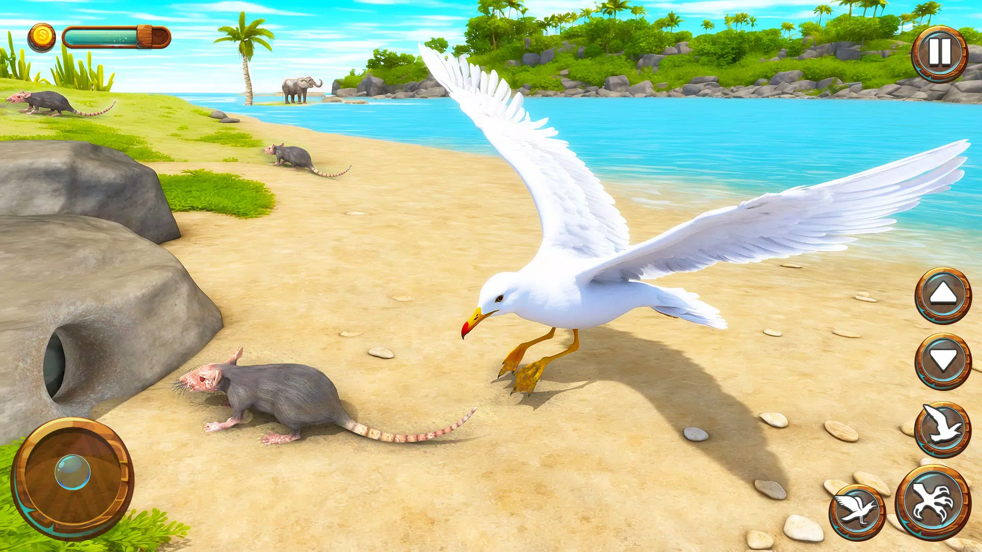 Seagull Bird Life Simulator應用截圖第2張