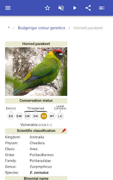 Parrots ဖန်သားပြင်ဓာတ်ပုံ 3