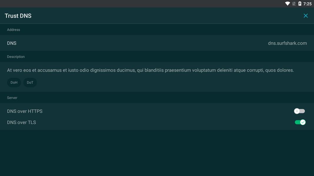 Trust DNS Screenshot 3