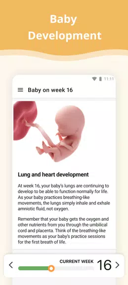 Pregnancy App スクリーンショット 2