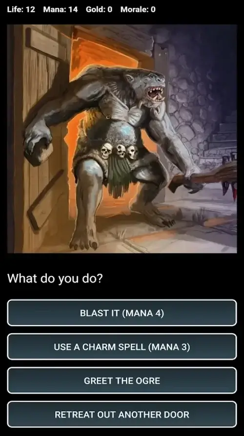 Dungeons and Decisions RPG Tangkapan skrin 3