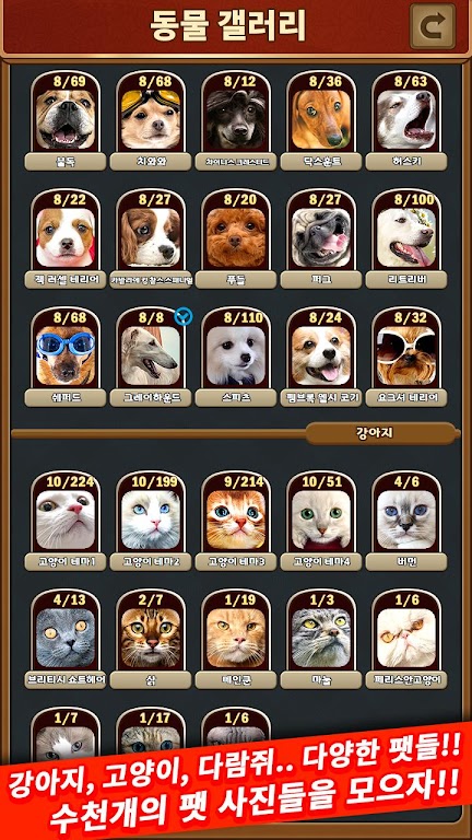 애니멀 맞고 - 동물 팻 고스톱應用截圖第4張