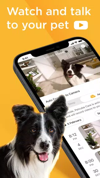 Petcube 스크린샷 1