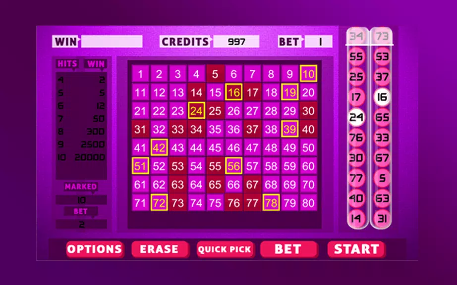 Keno Bingo Capture d'écran 4