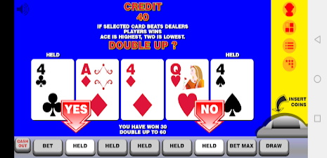 Video Poker with Double Up ဖန်သားပြင်ဓာတ်ပုံ 2