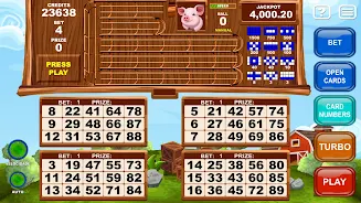 Video Bingo Little Farm Zrzut ekranu 3