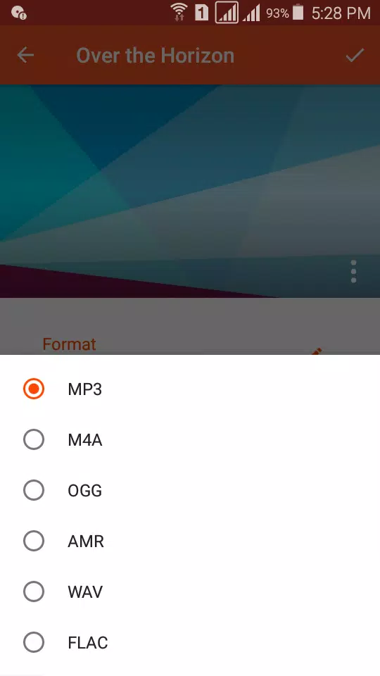 Audio Converter (MP3 AAC OPUS) 스크린샷 2
