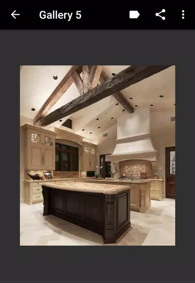 Ceiling Design應用截圖第4張