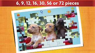 Dogs Jigsaw Puzzles Game স্ক্রিনশট 3