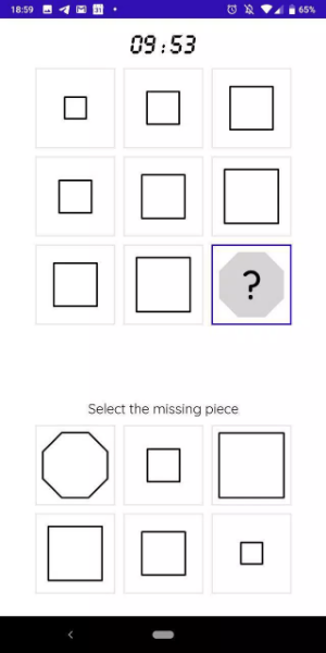 iQT: Raven IQ Test Screenshot 1