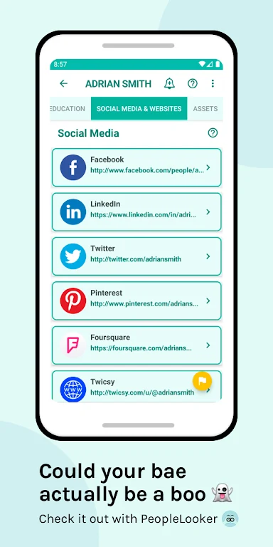 PeopleLooker Background Search スクリーンショット 2