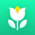 Plant Parent: Plant Care Guide