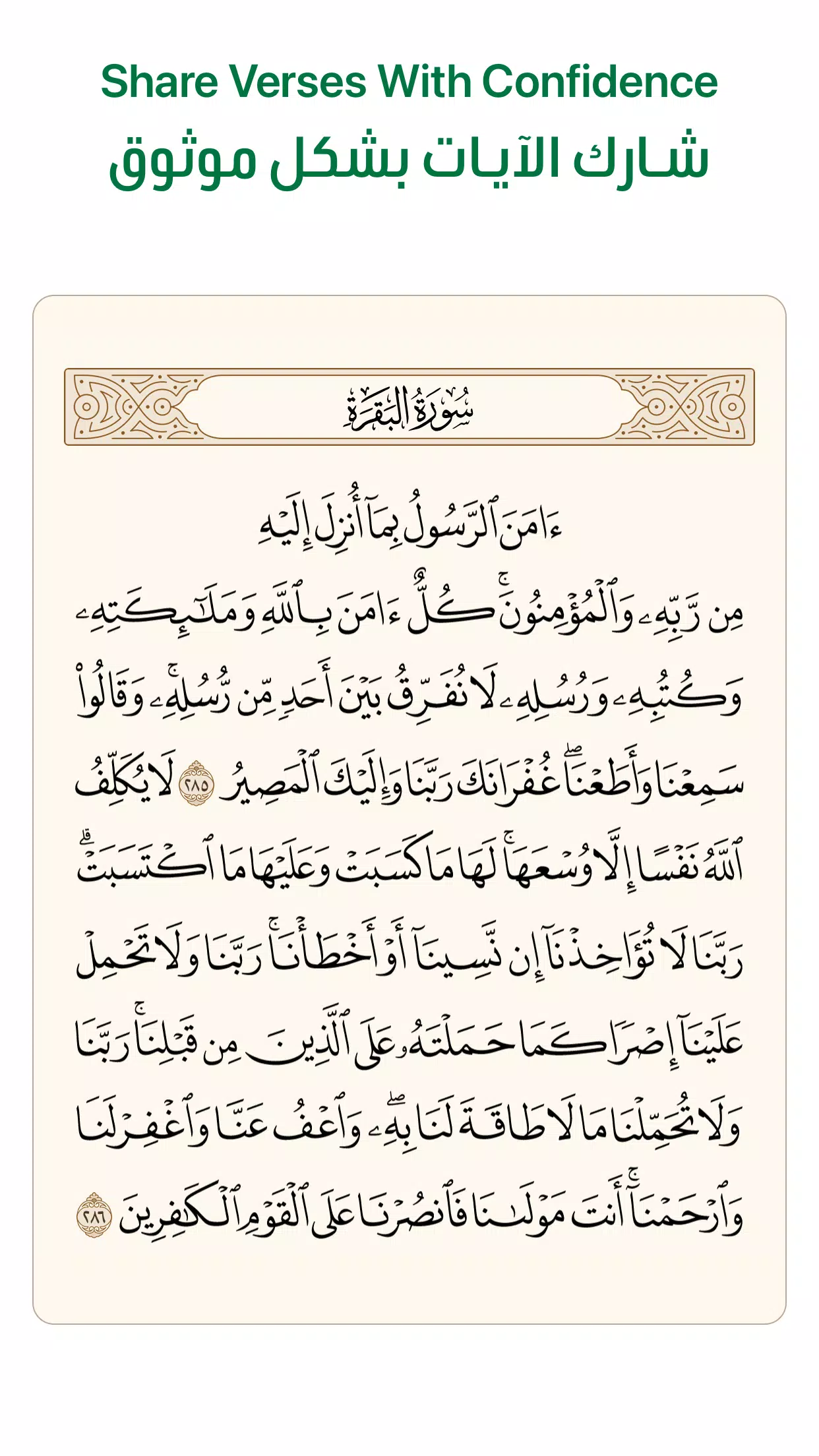 آية - تطبيق القرآن الكريم應用截圖第4張