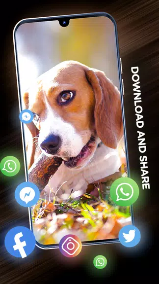 Schermata Wallpapers with dogs in 4K 3