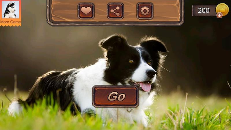 Border Collie Simulator Schermafbeelding 3