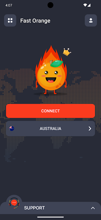 FastOrange VPN 스크린샷 1