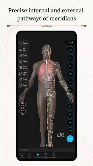 Schermata Acupuncture Master 2
