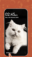 Kitty Cat Pin Lock Screen Ảnh chụp màn hình 2