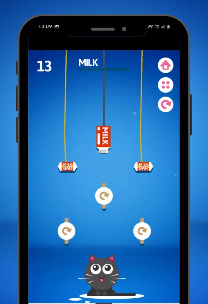 Feed the Kitty Cat Game 스크린샷 3