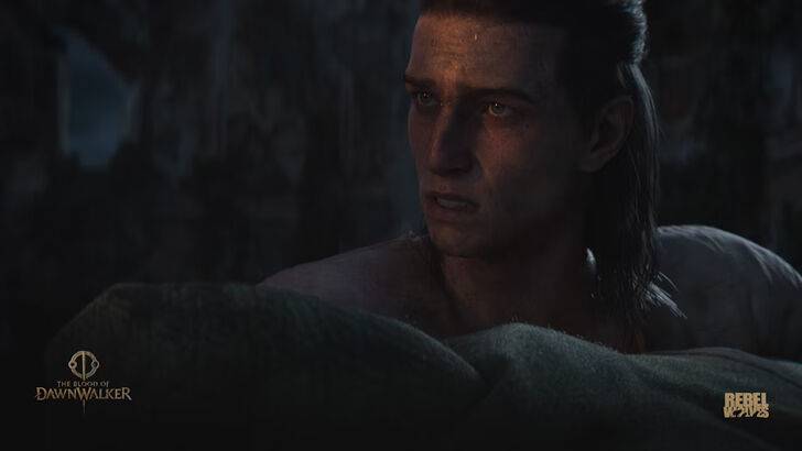 Das Blut von Dawnwalker -Entwicklern strebt nach Witcher 3 Qualitätsniveaus 