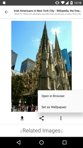 ImageSearchMan – Image Search スクリーンショット 3