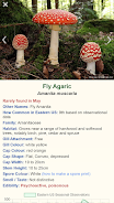 Shroomify - Mushroom Identific应用截图第1张