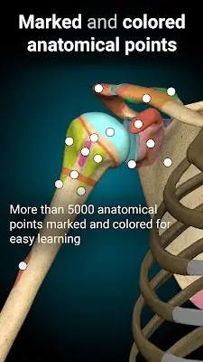 Anatomy Learning - 3D Anatomy ဖန်သားပြင်ဓာတ်ပုံ 3