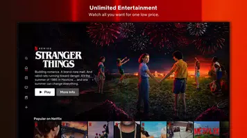 Netflix Screenshot 4