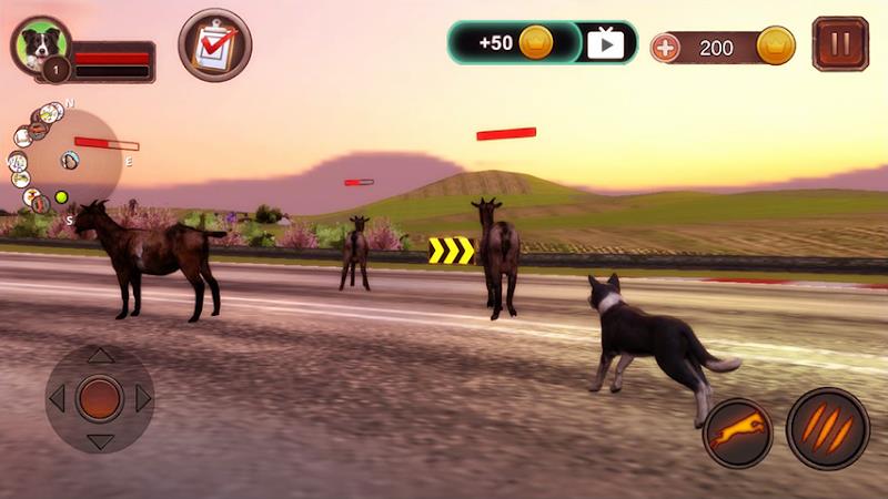 Border Collie Simulator Schermafbeelding 2