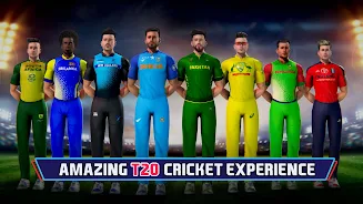 Indian Cricket Championship Скриншот 3