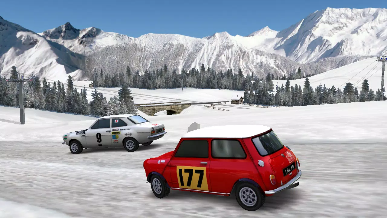 Pocket Rally LITE Tangkapan skrin 4