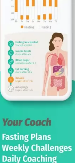 BodyFast Intermittent Fasting Tracker Diet Coach Ekran Görüntüsü 1