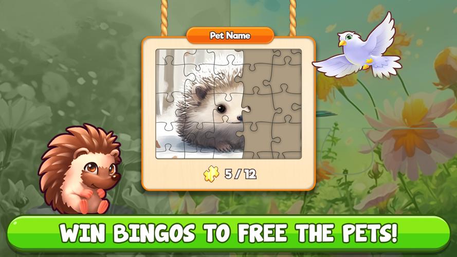 Bingo:  Free the Pets Screenshot 3