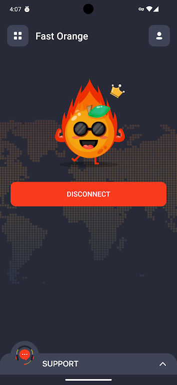 FastOrange VPN 스크린샷 3