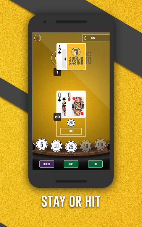 Fortune Joe Casino应用截图第3张