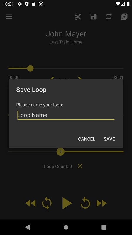 Loop Player应用截图第3张