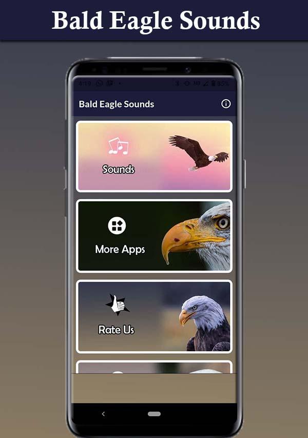Bald Eagle Sounds 스크린샷 3