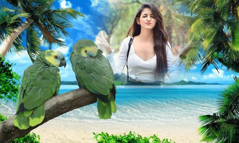 Birds Photo frame : Bird photo Tangkapan skrin 1