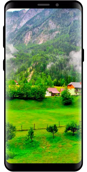 10000 Nature Wallpapers Ekran Görüntüsü 2