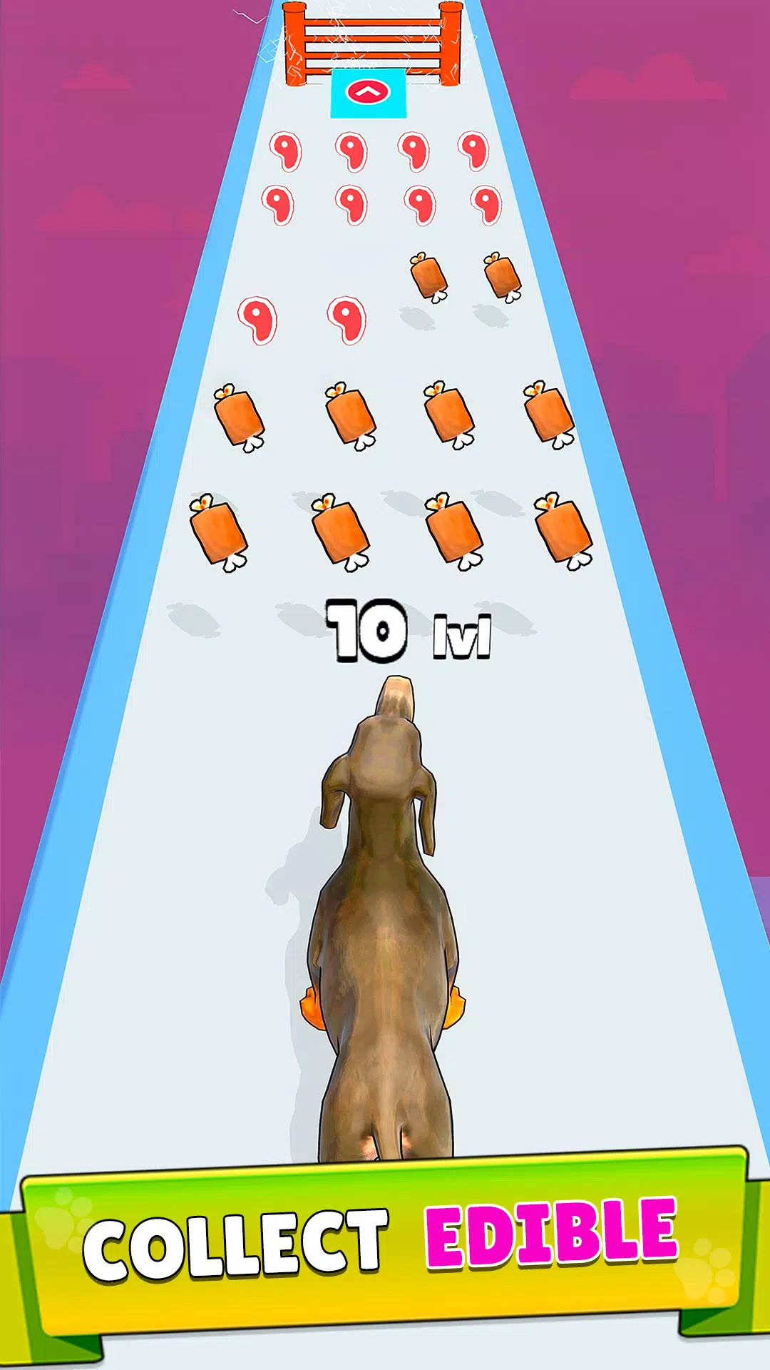 Dog Evolution Run Скриншот 3